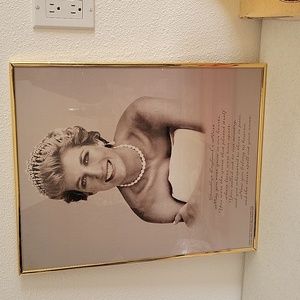Princess Diana framed picture